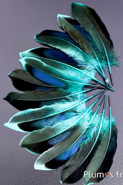 Canard - 8-10 cm - jade